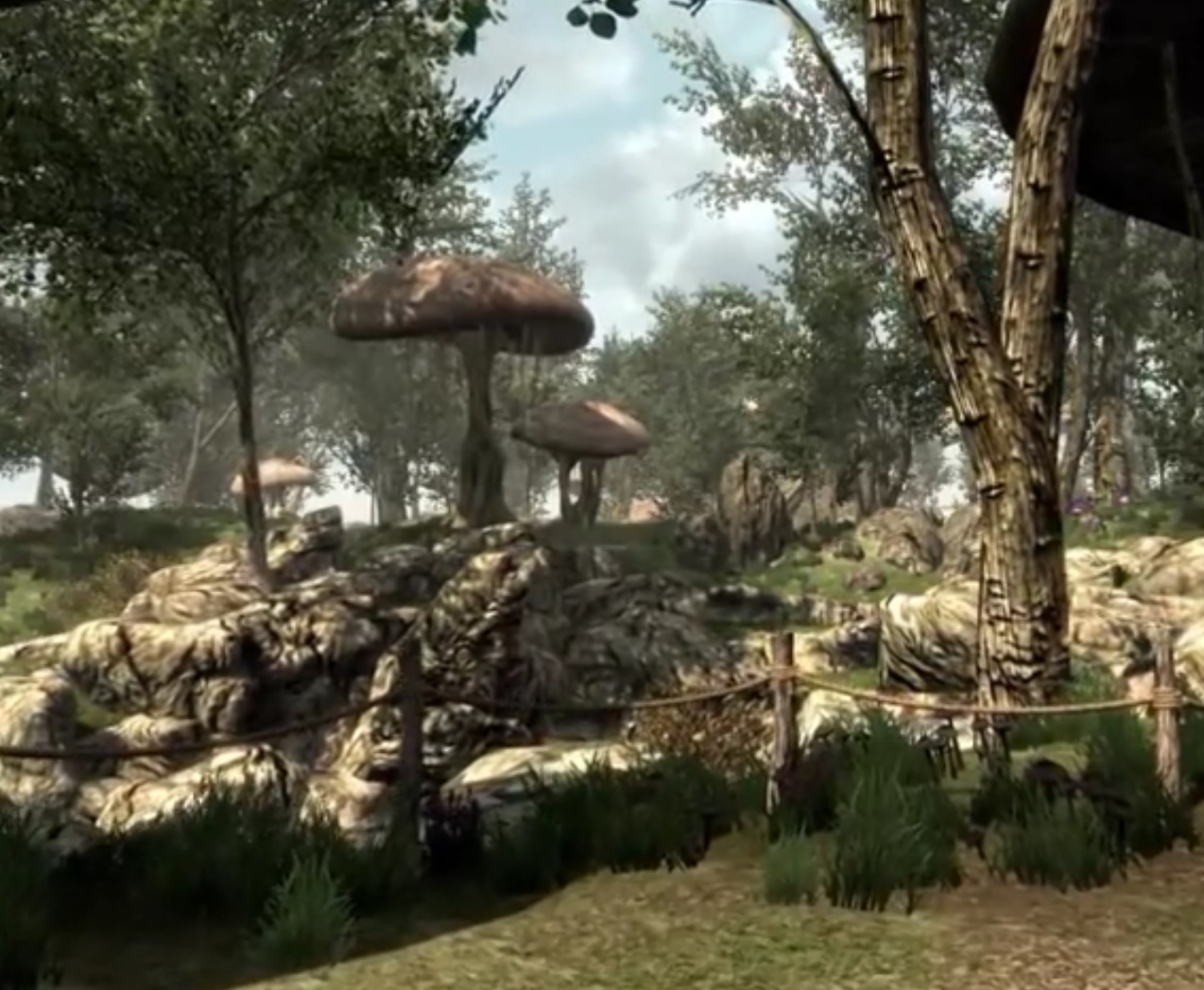 Rebuilding Morrowind